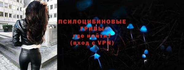 тгк Беломорск