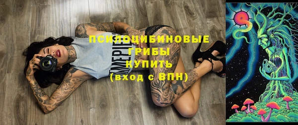 не бодяженный Белокуриха