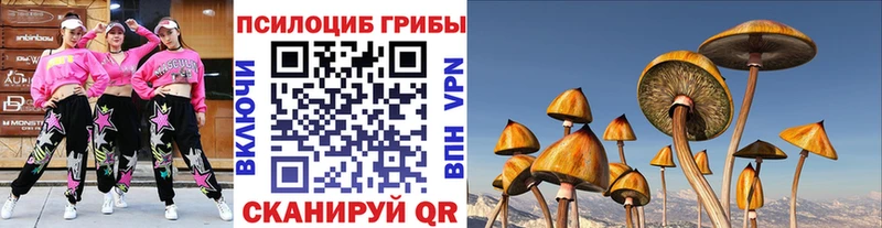 где купить   Коммунар  Галлюциногенные грибы мицелий 